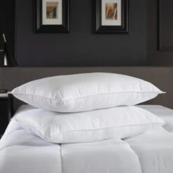 The Lyndon Company Premium Hotel Pillow Pair