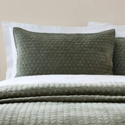 Attica Velvet Green Pillowsham Pair